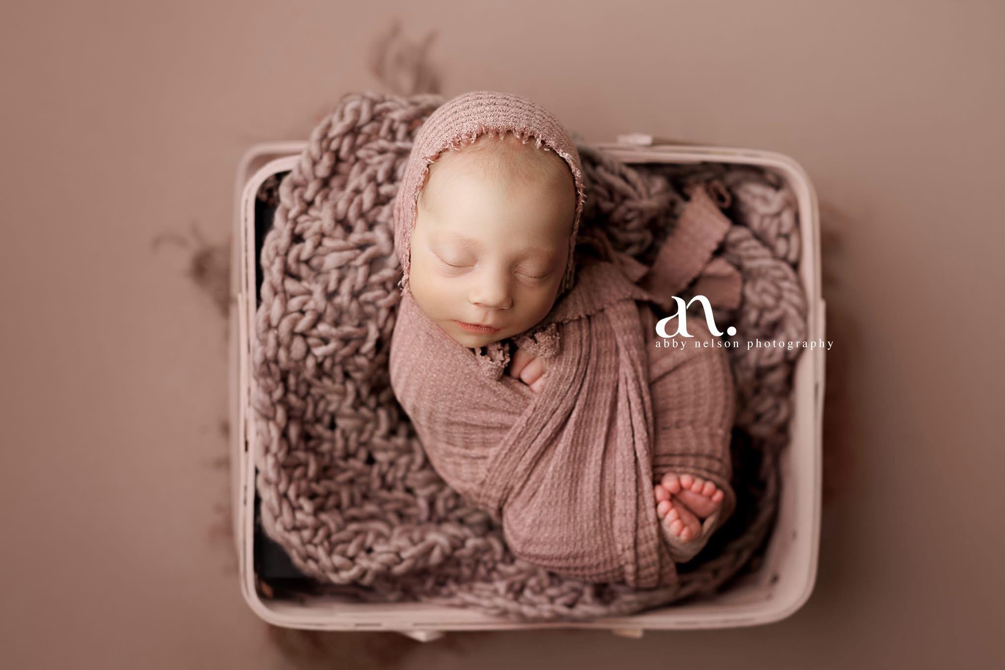 Credit Abby Nelson Photography