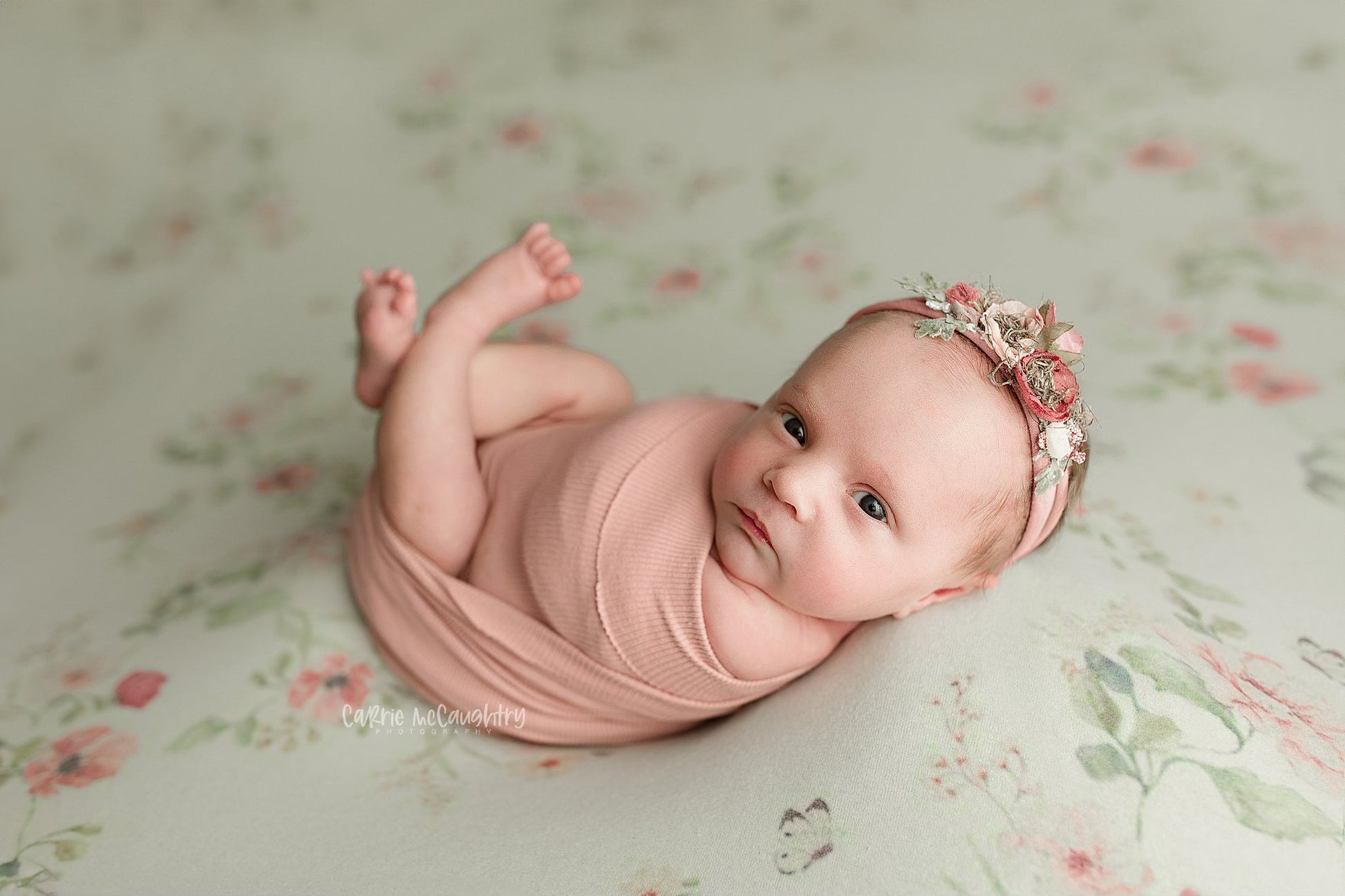 Credit Carrie McCaughtry Photography