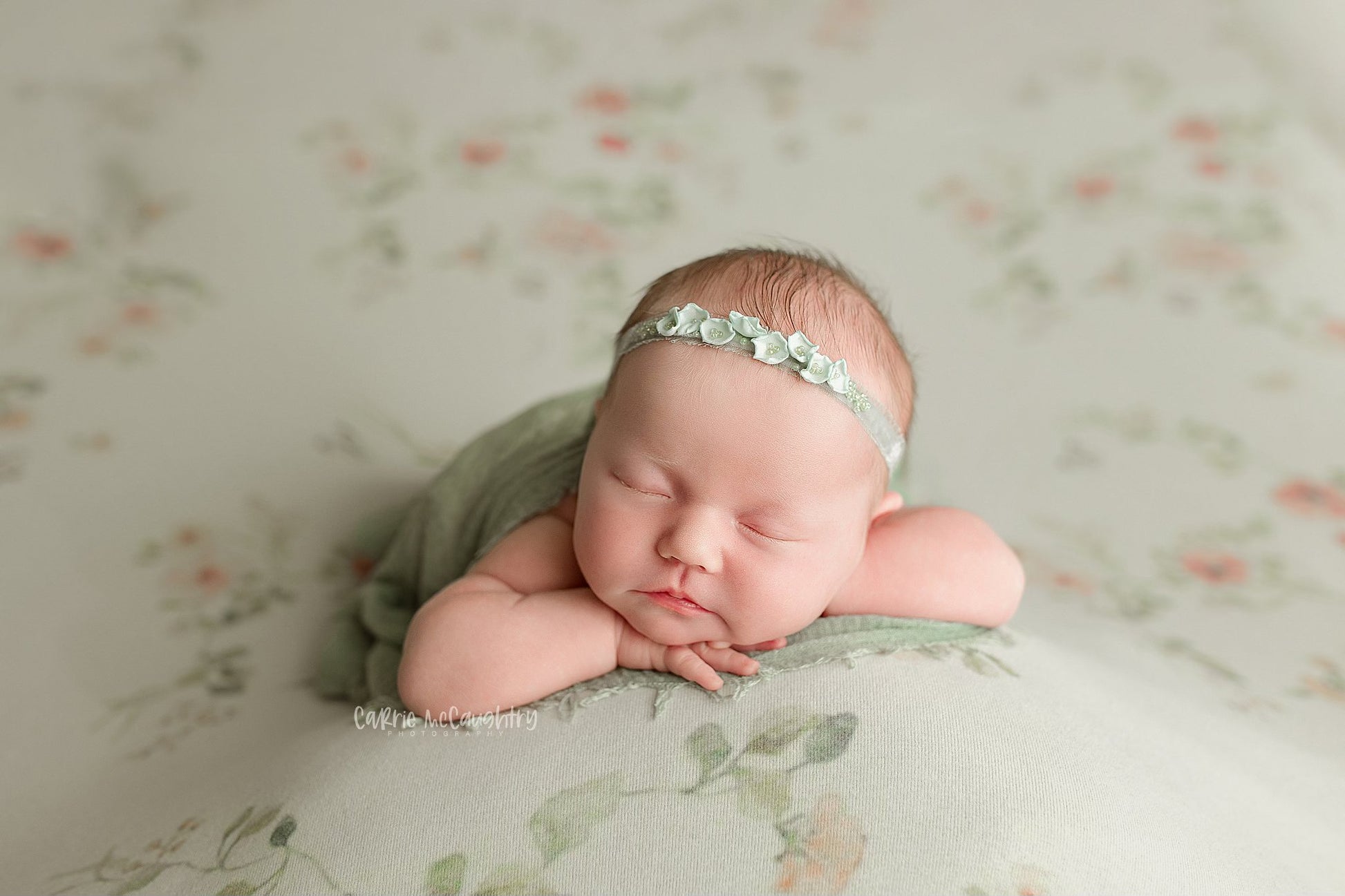 Credit Carrie McCaughtry Photography