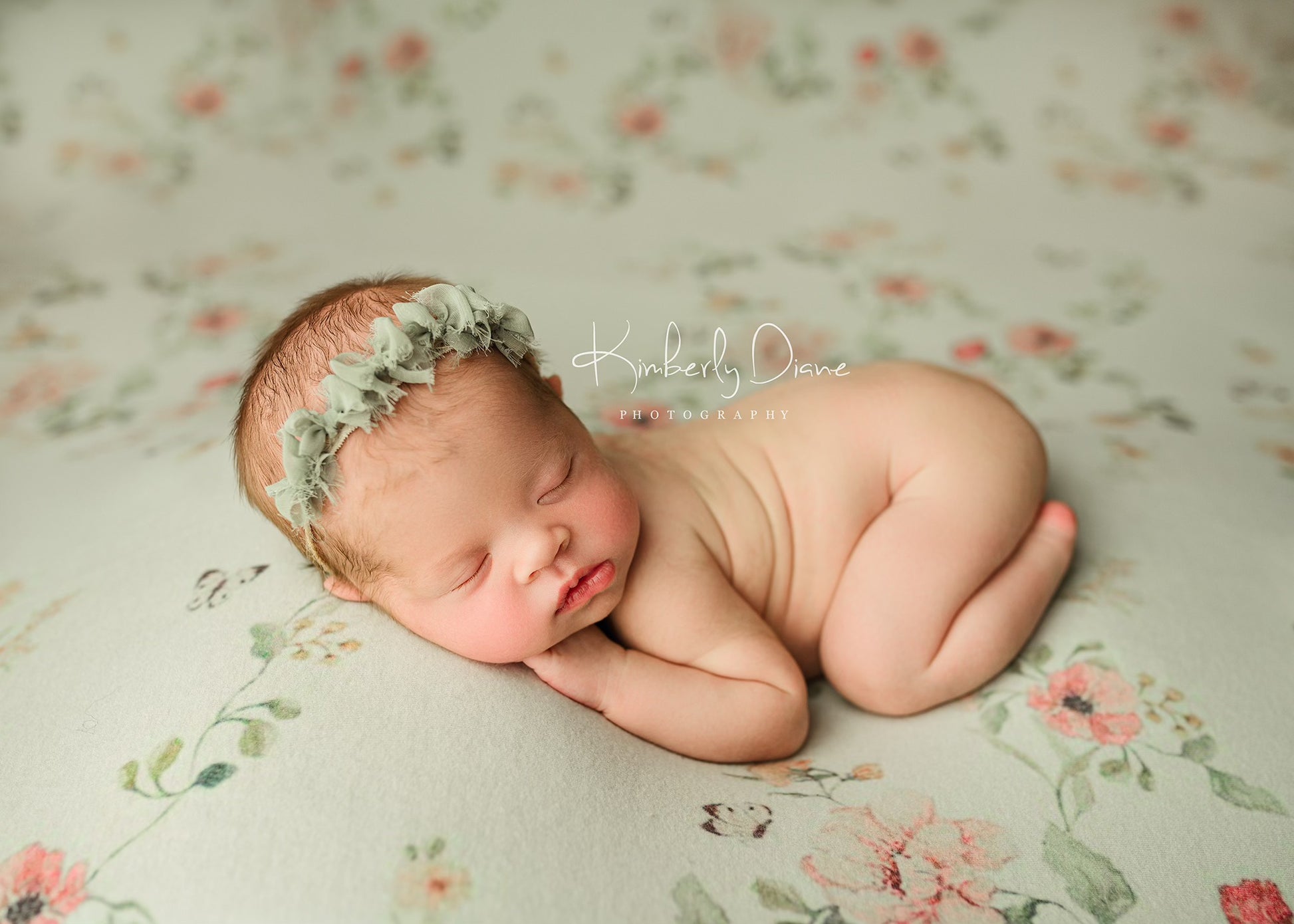 Credit Kimberly Diane Photography