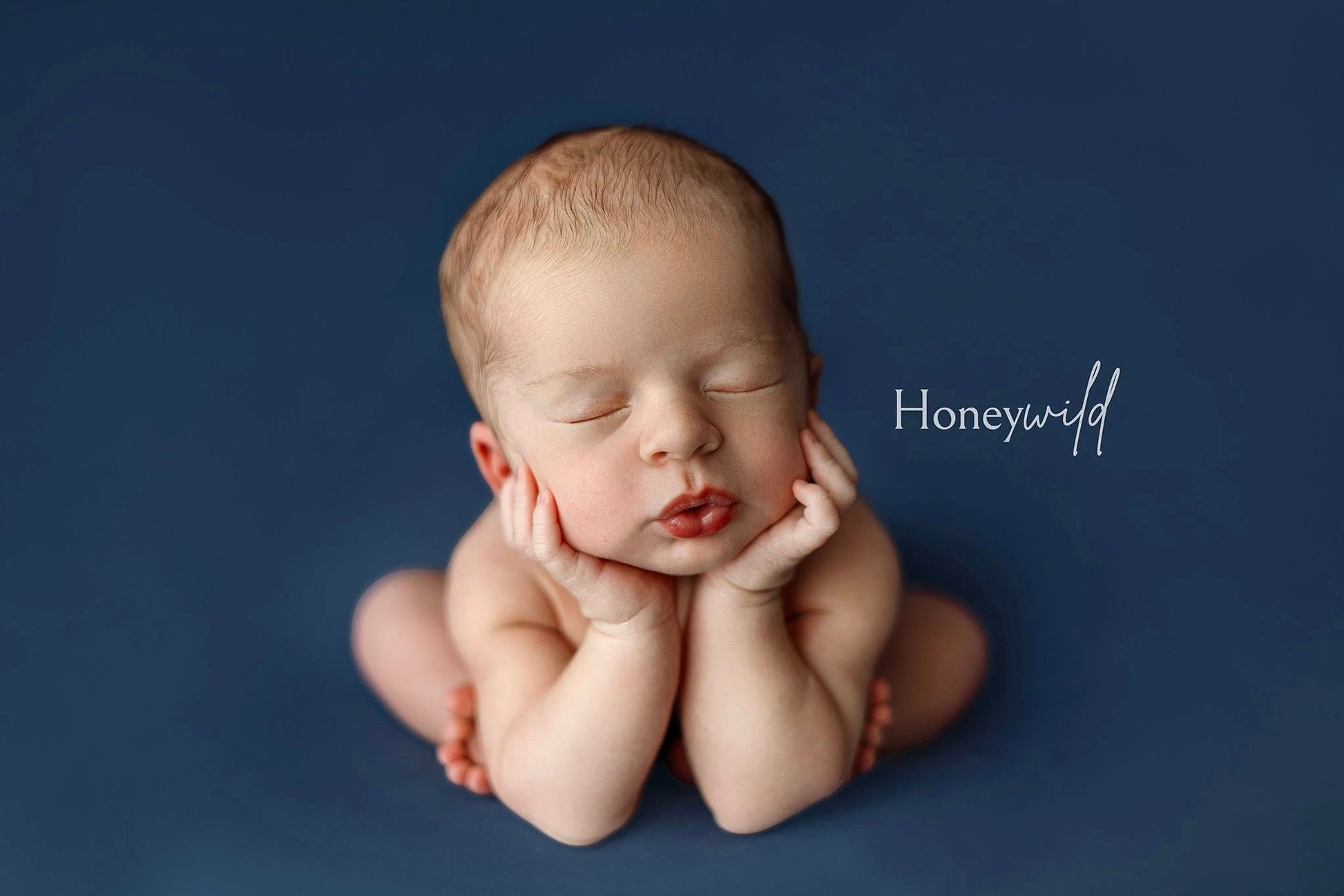 Credit Honeywild Photography