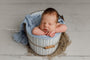 Credit Sarah Jean Photography