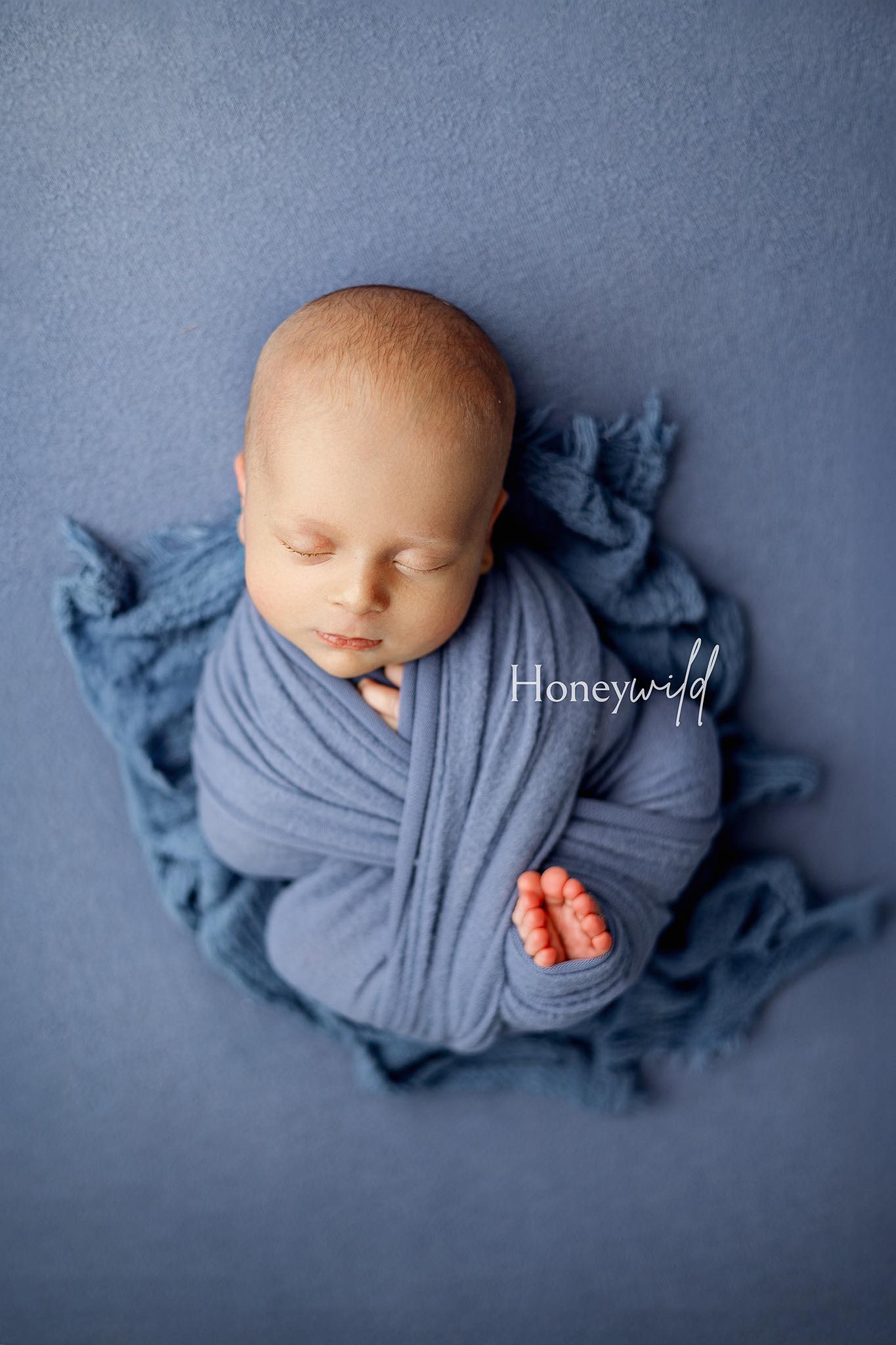Credit Honeywild Photography