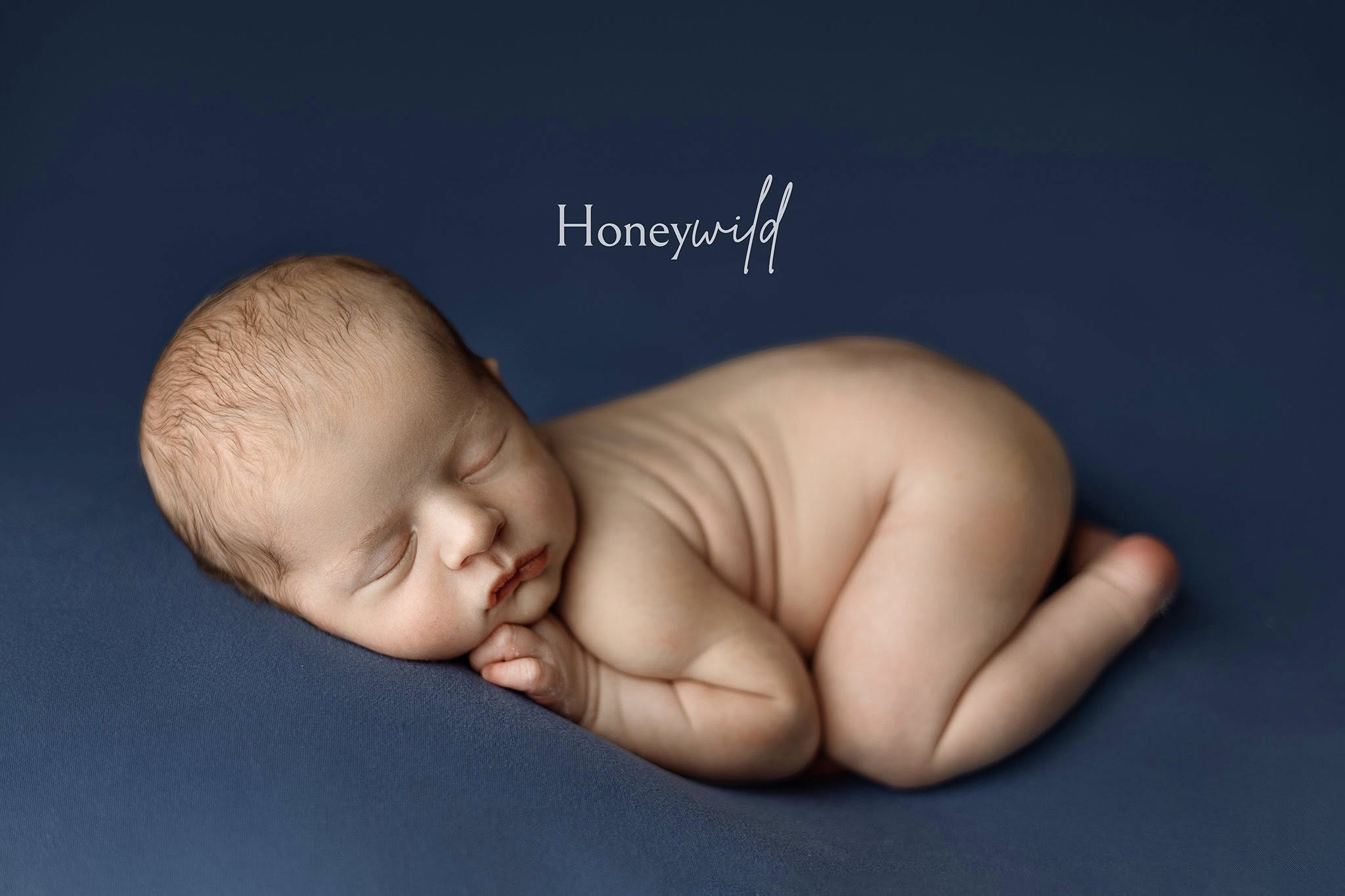 Credit Honeywild Photography