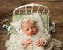 Credit Kimberly Diane Photography