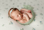 Credit Arielle Elizabeth Photography