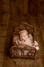 Credit Lacey Andreae Photography