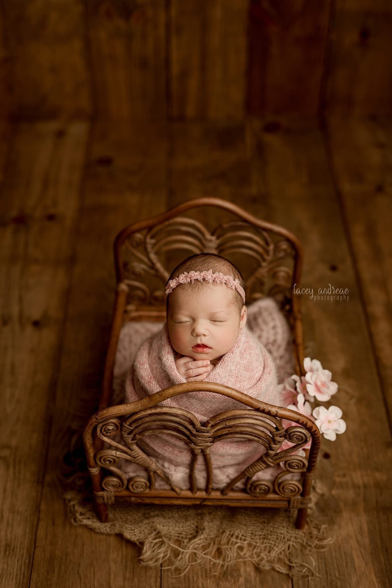 Credit Lacey Andreae Photography