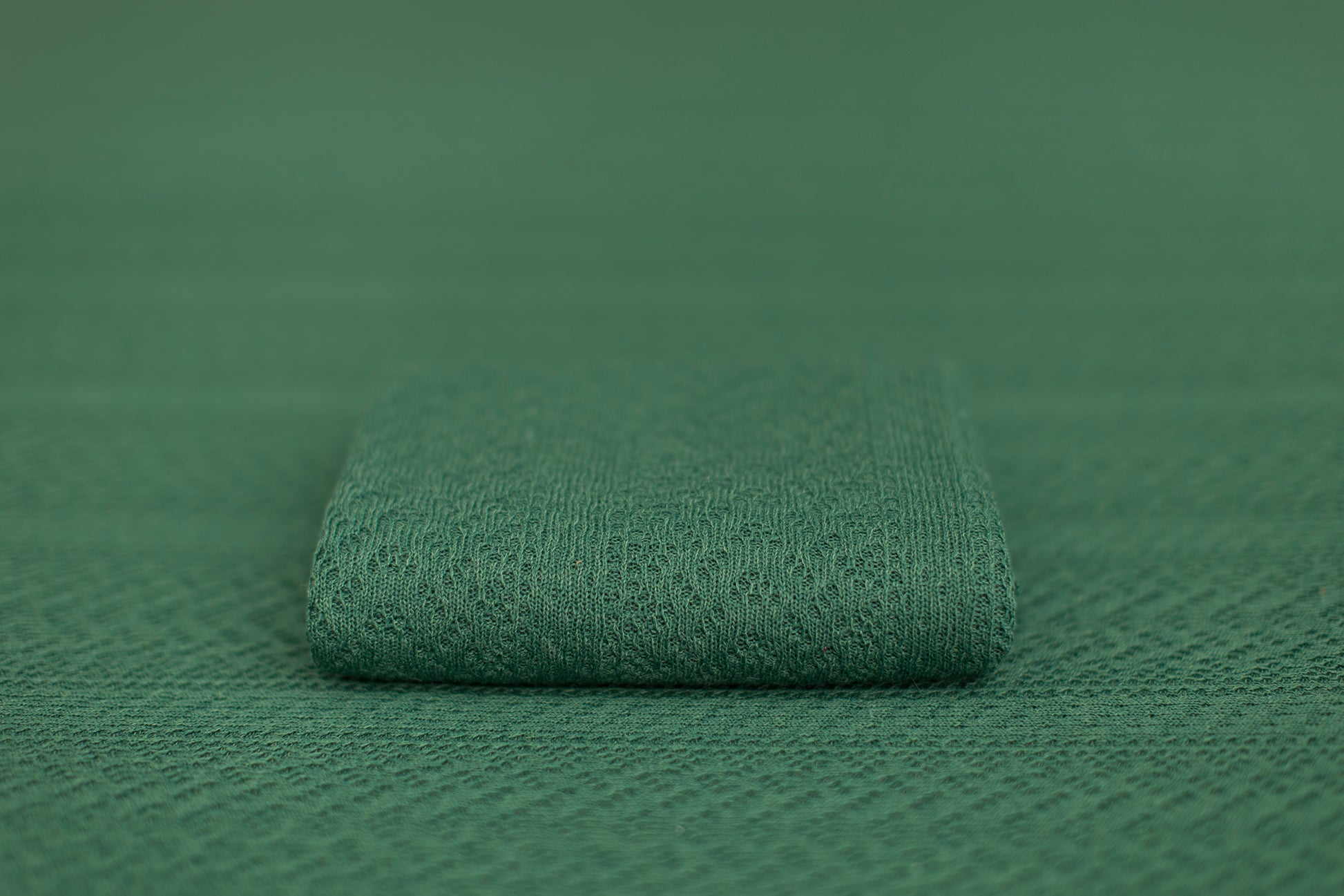 Boq | Brazilian Rainforest