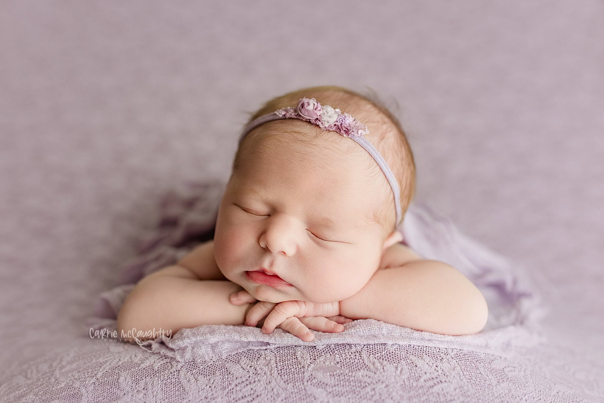 Credit Carrie McCaughtry Photography