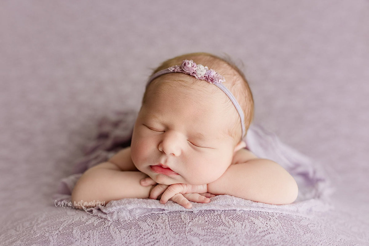 Credit Carrie McCaughtry Photography