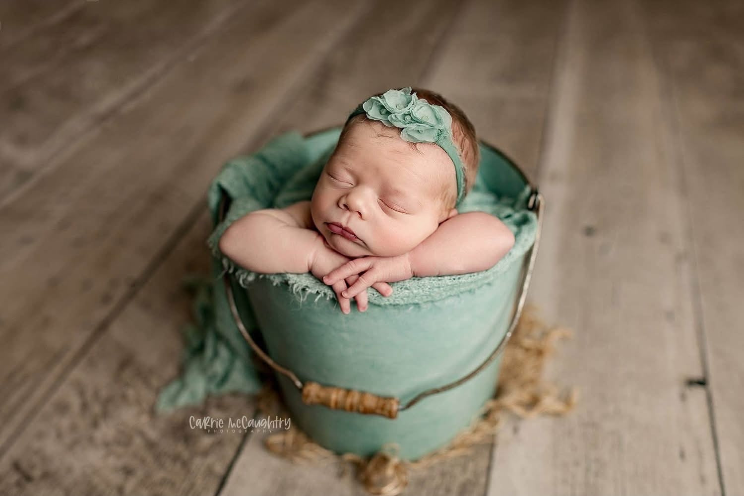 Credit Carrie McCaughtry Photography