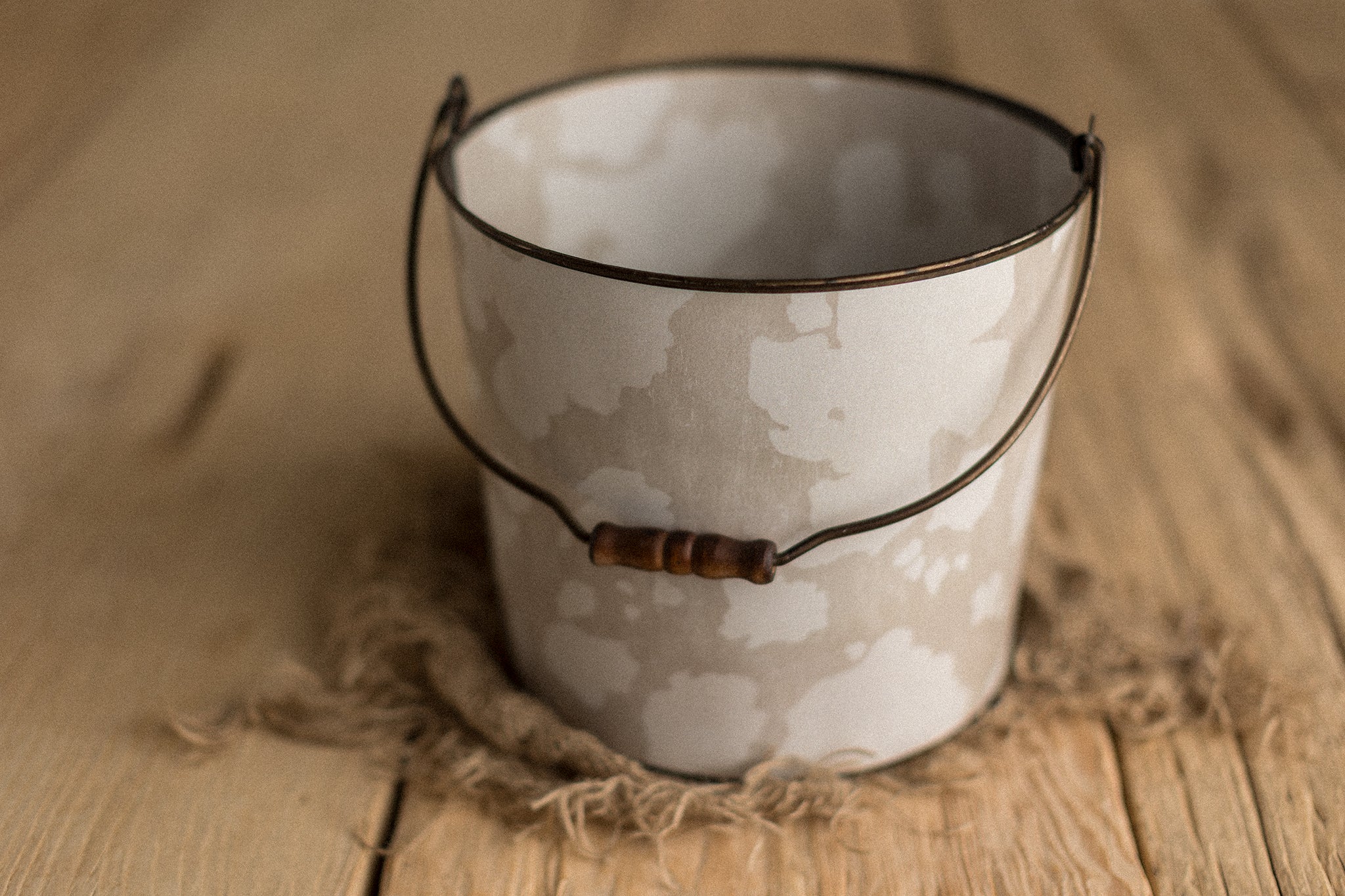 Bucket Hugger | Pretty Cow