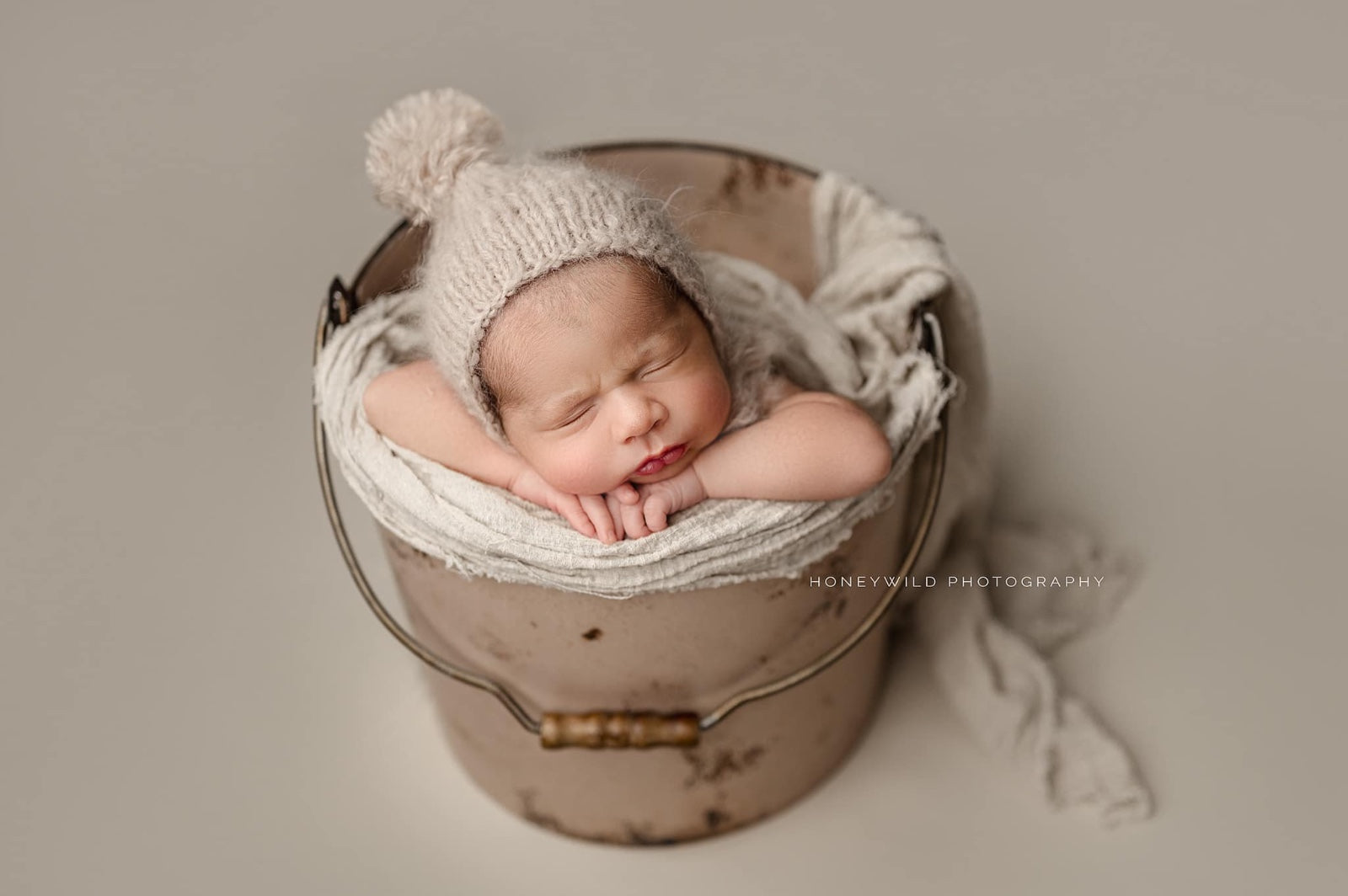 Credit Honeywild Photography