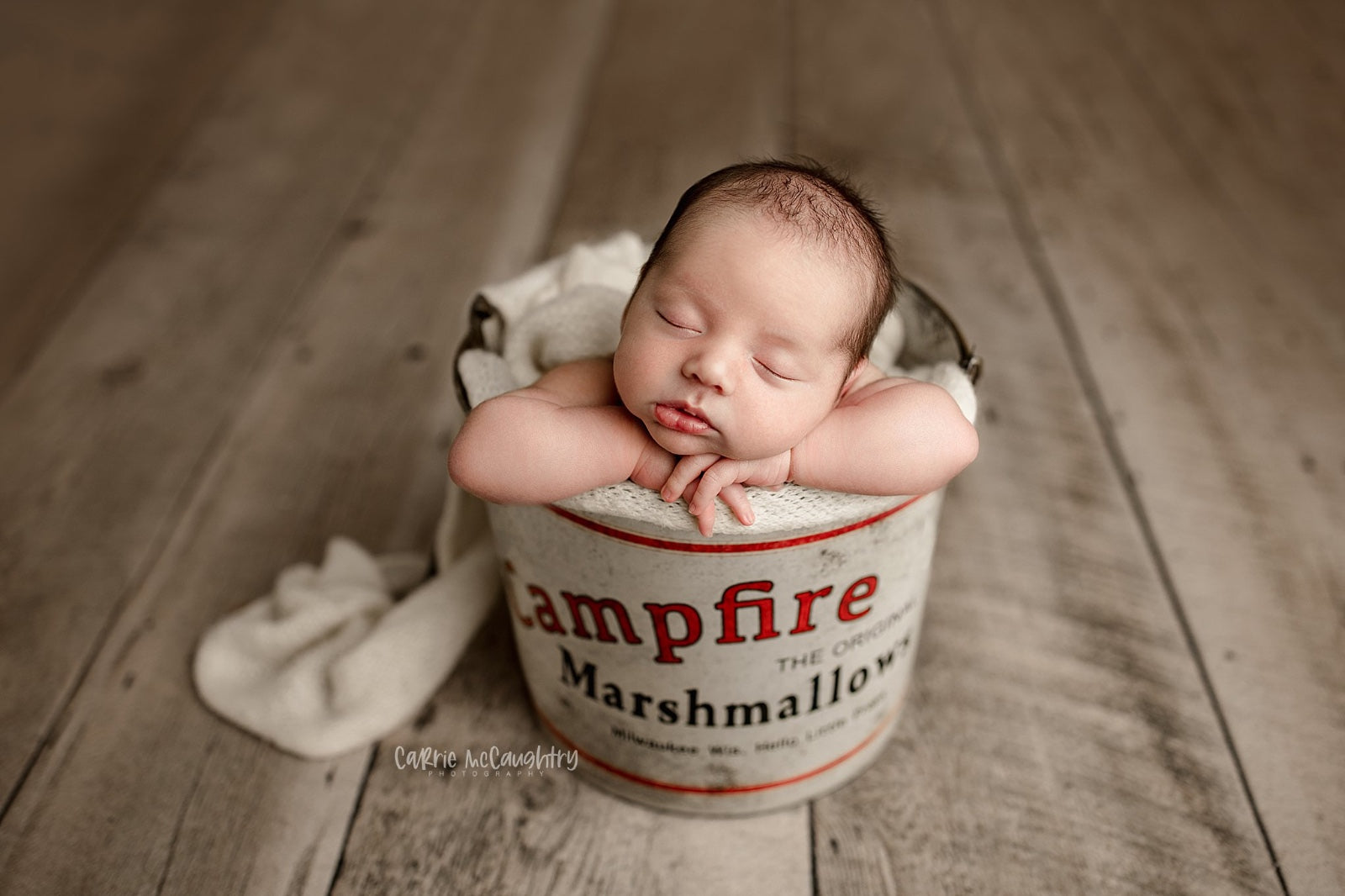 Credit Carrie McCaughtry Photography