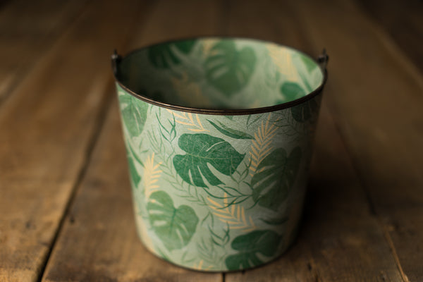 Bucket Hugger | 479 Herman Monstera