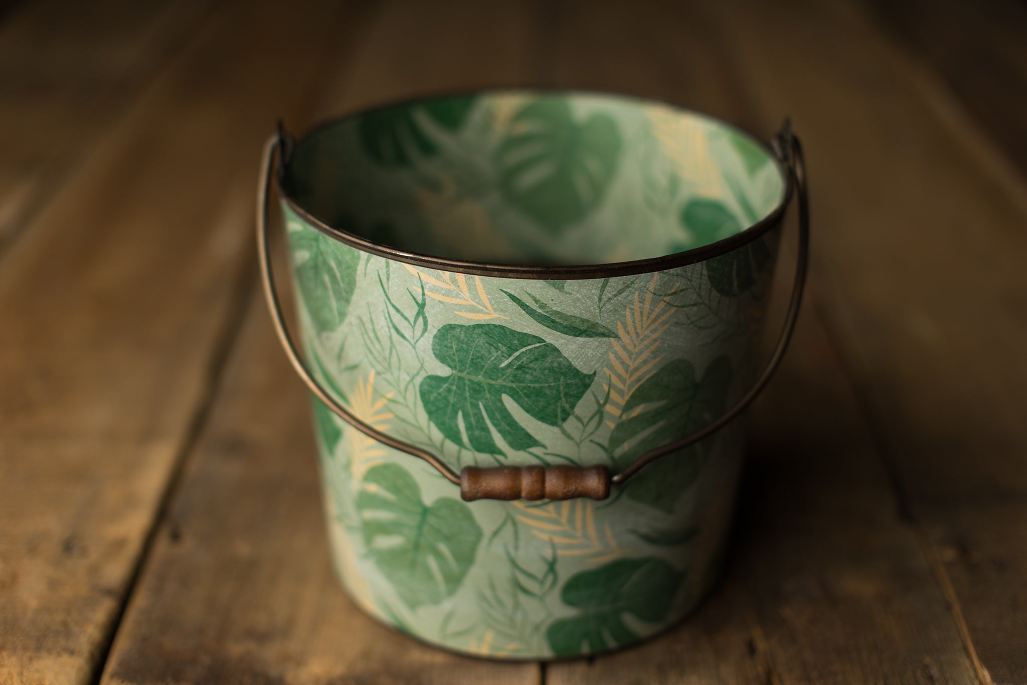 Bucket Hugger | 479 Herman Monstera