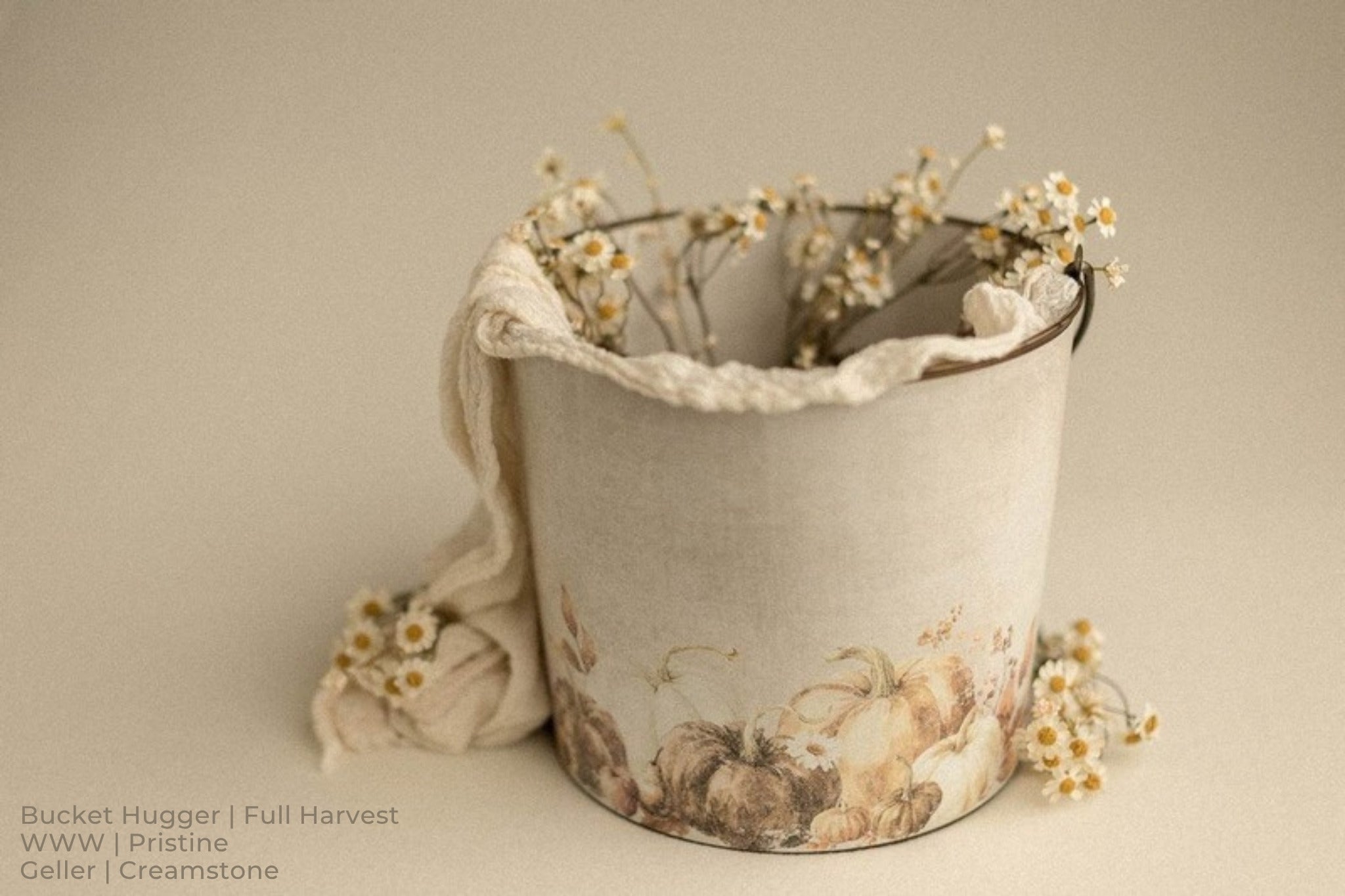 Bucket Hugger | Full Harvest / WWW | Pristine / Geller | Creamstone