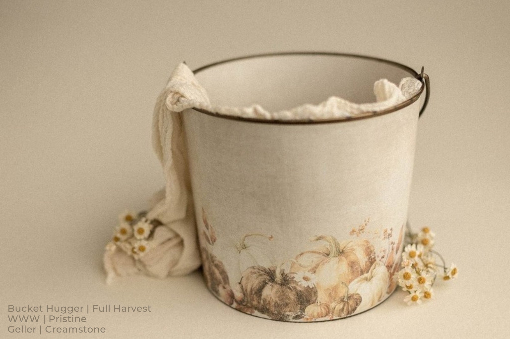 Bucket Hugger | Full Harvest / WWW | Pristine / Geller | Creamstone