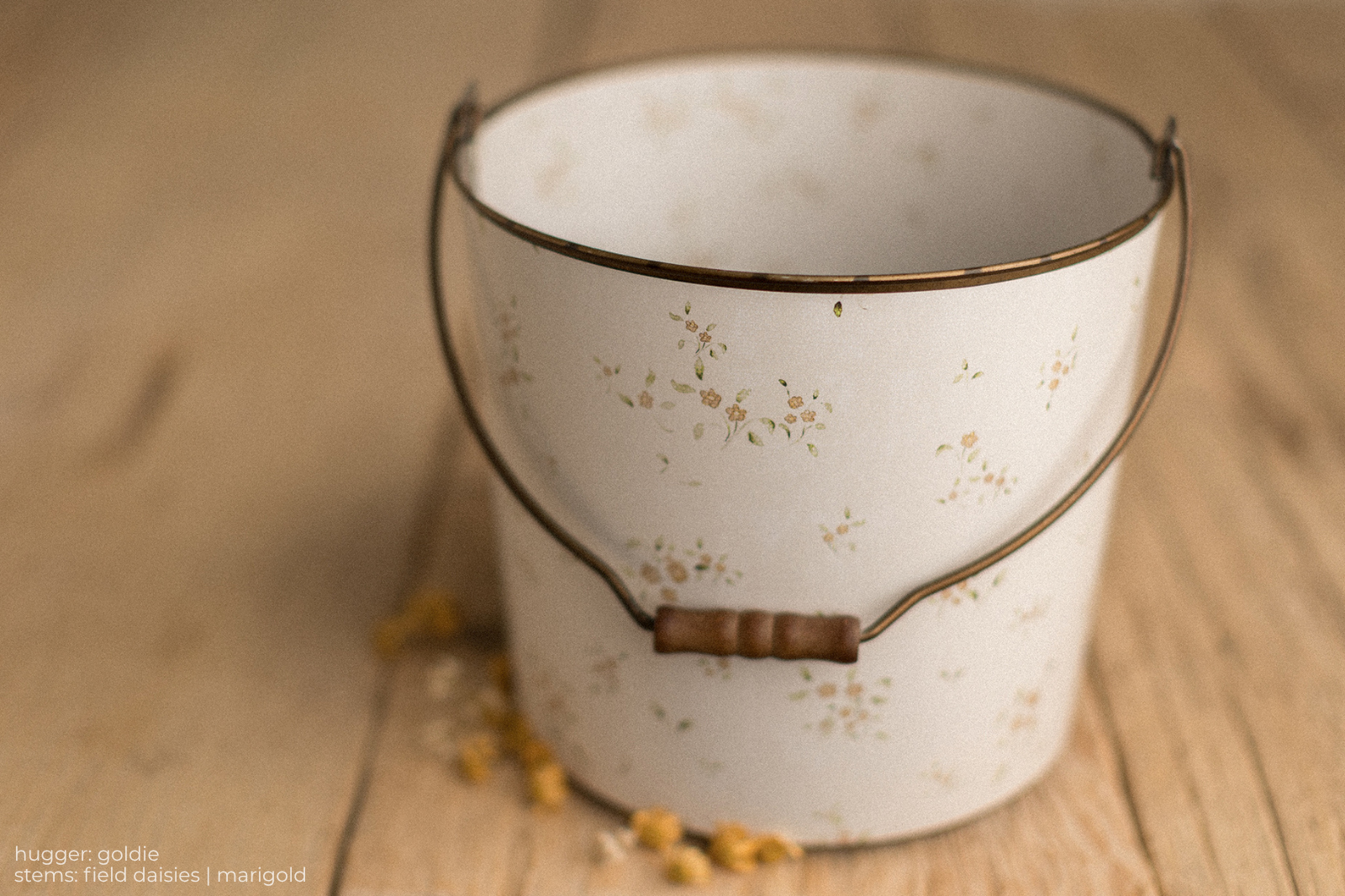 Bucket Hugger | Goldie