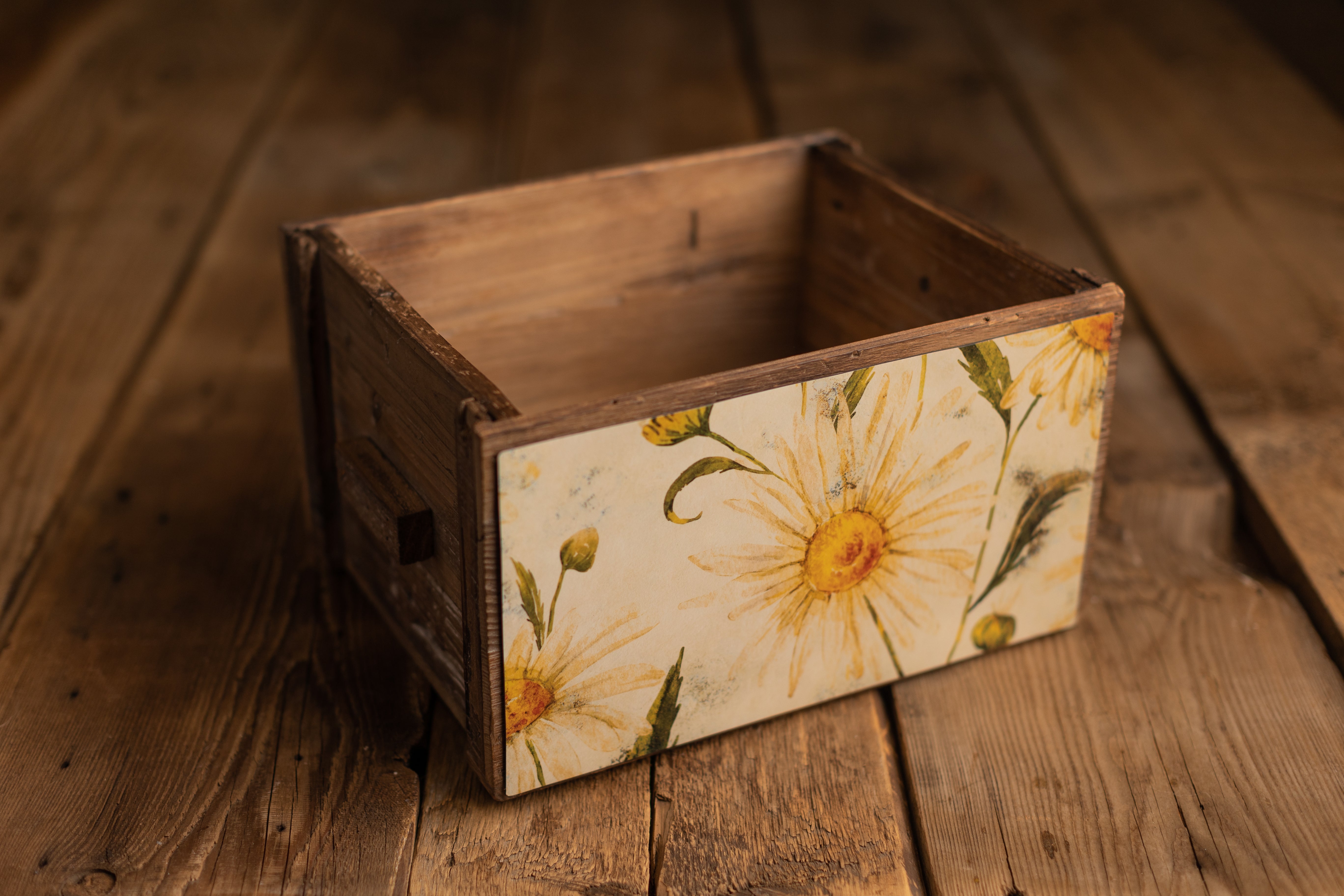Crate Hugger | 102 Daisy