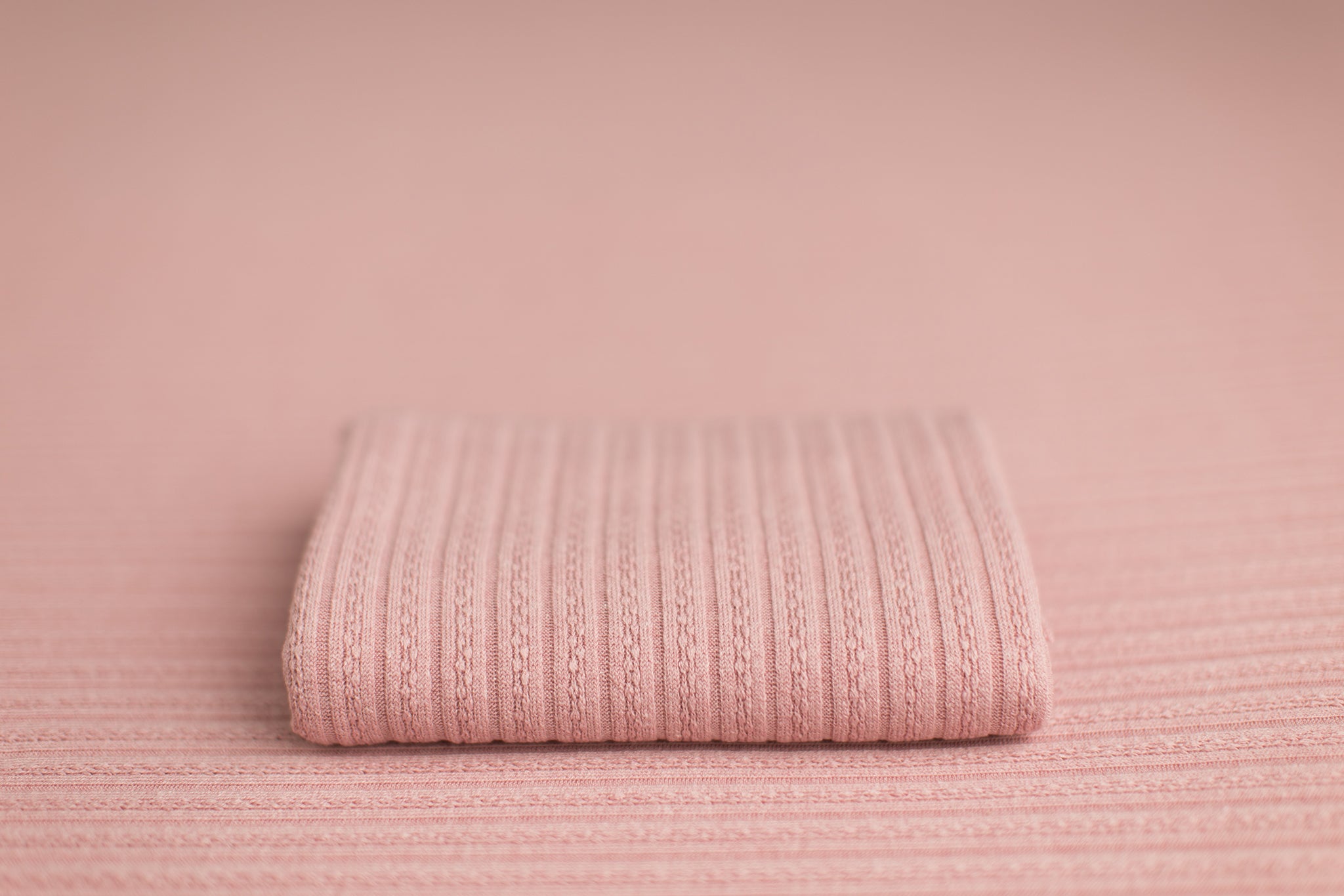 Cal | Camellia