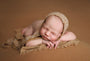 Credit Abby Nelson Photography