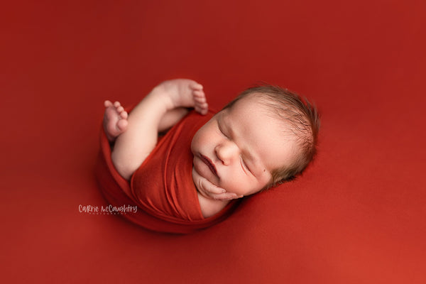 Credit Carrie McCaughtry Photography
