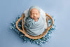 Chandler | Cornflower
