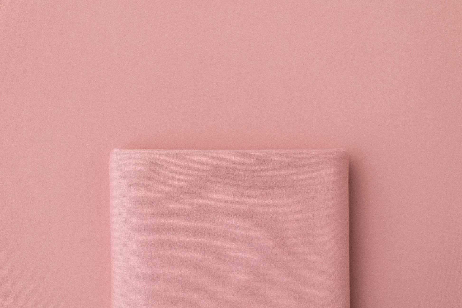 Chandler | Pinkypie