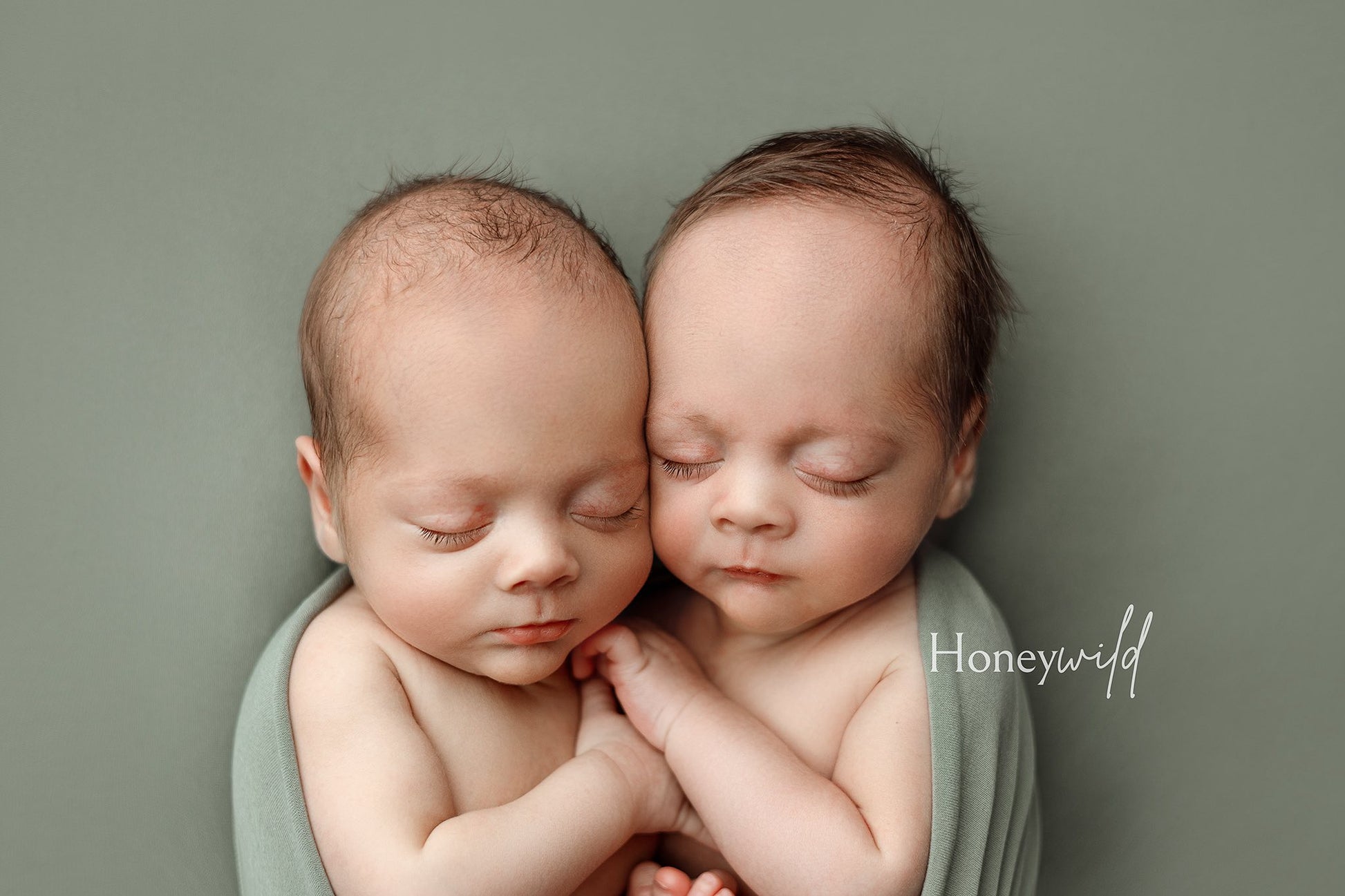 Credit Honeywild Photography