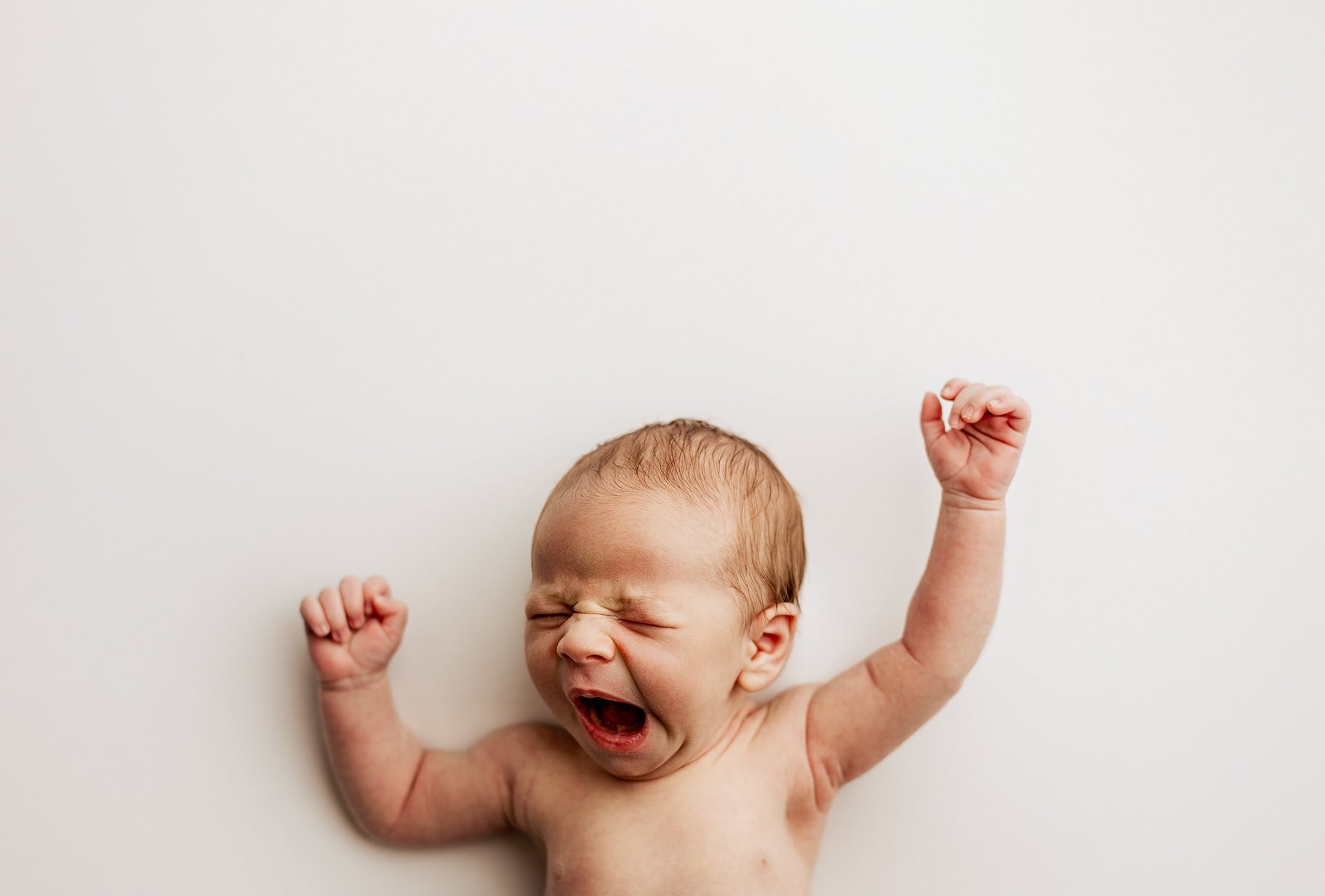 Credit Meadow &amp; Ash Photography