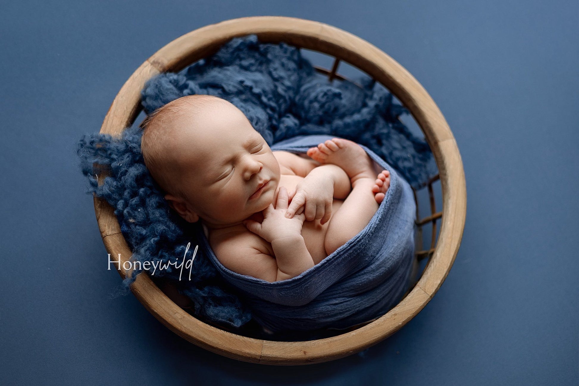 Credit Honeywild Photography