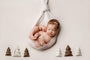 Credit Arielle Elizabeth Photography