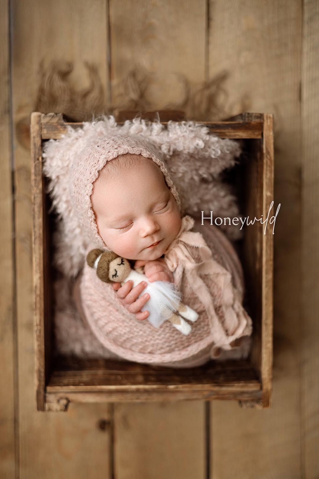 Credit Honeywild Photography