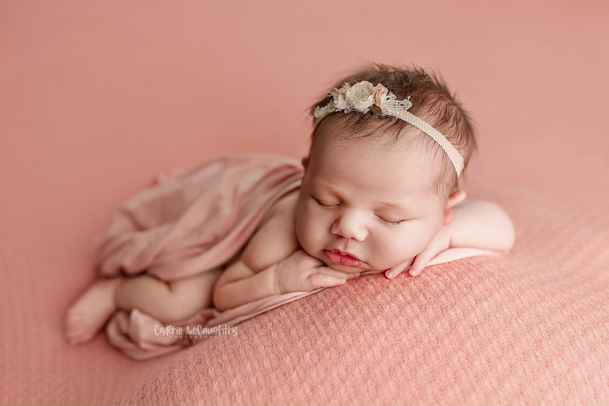 Credit Carrie McCaughtry Photography