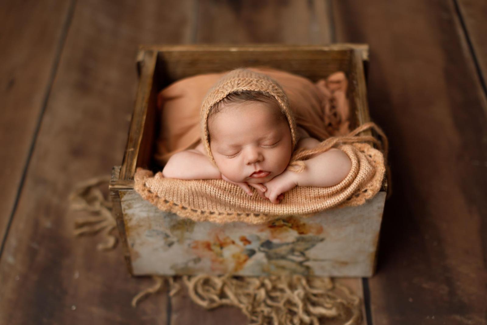 Credit Abby Nelson Photography