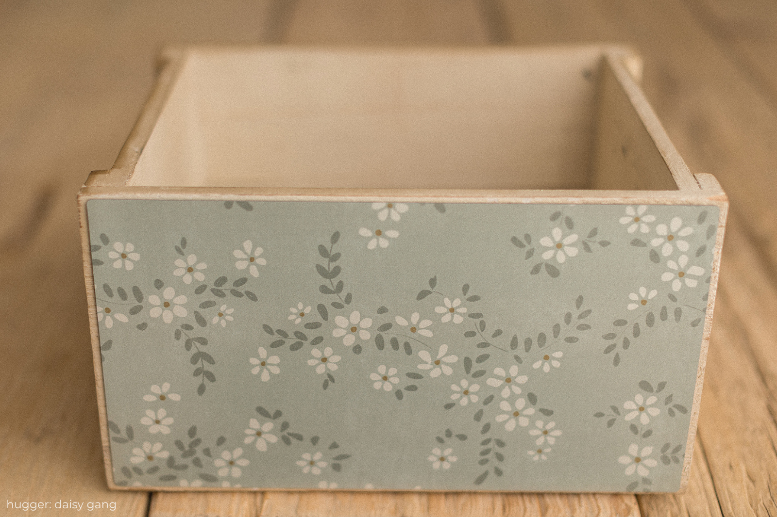 Crate Hugger | Daisy Gang
