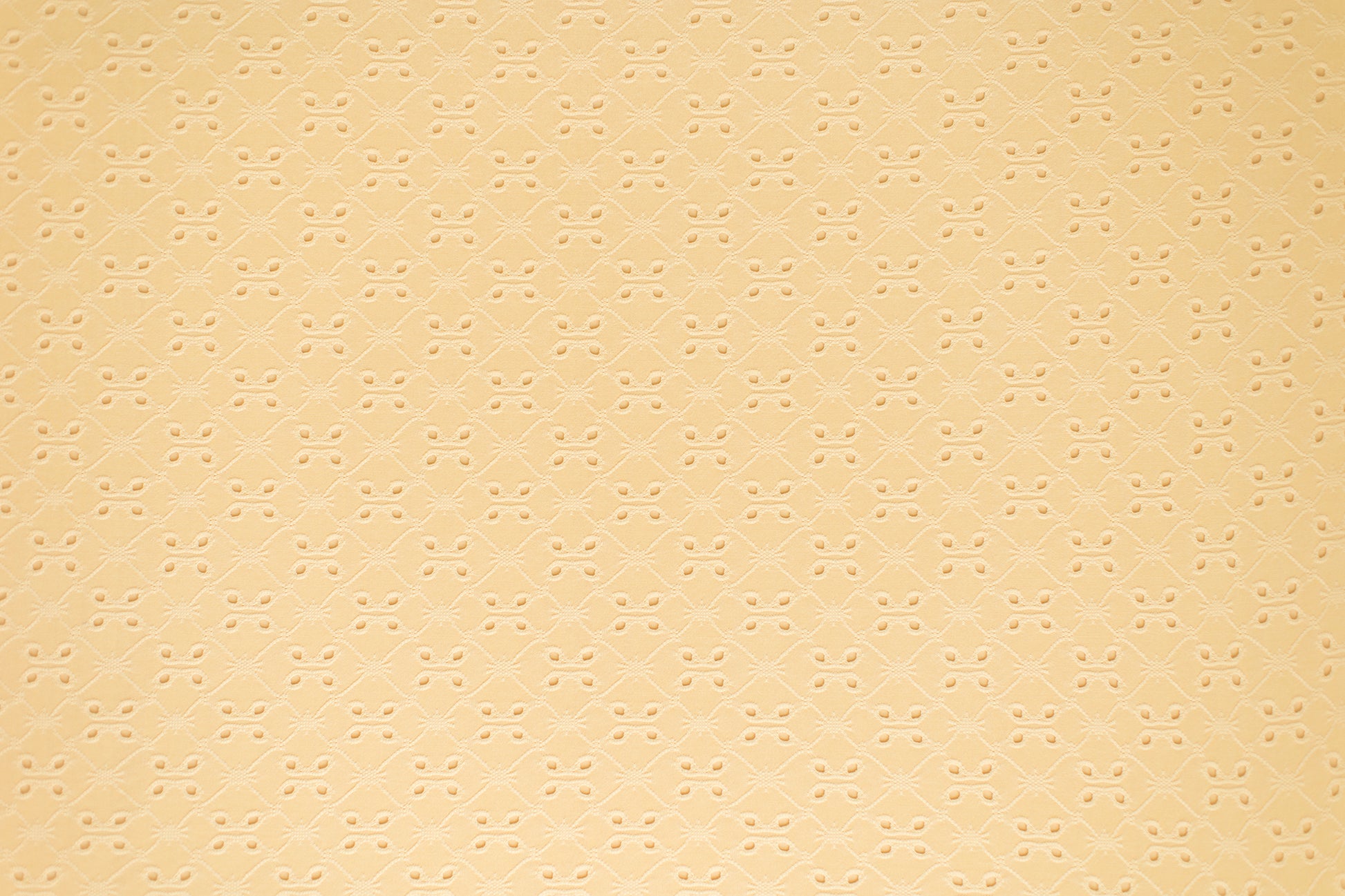 Cressida | Limon Wrap