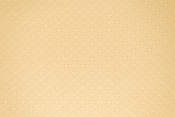 Cressida | Limon Wrap