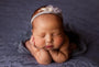 Credit Amy Stamm Photography