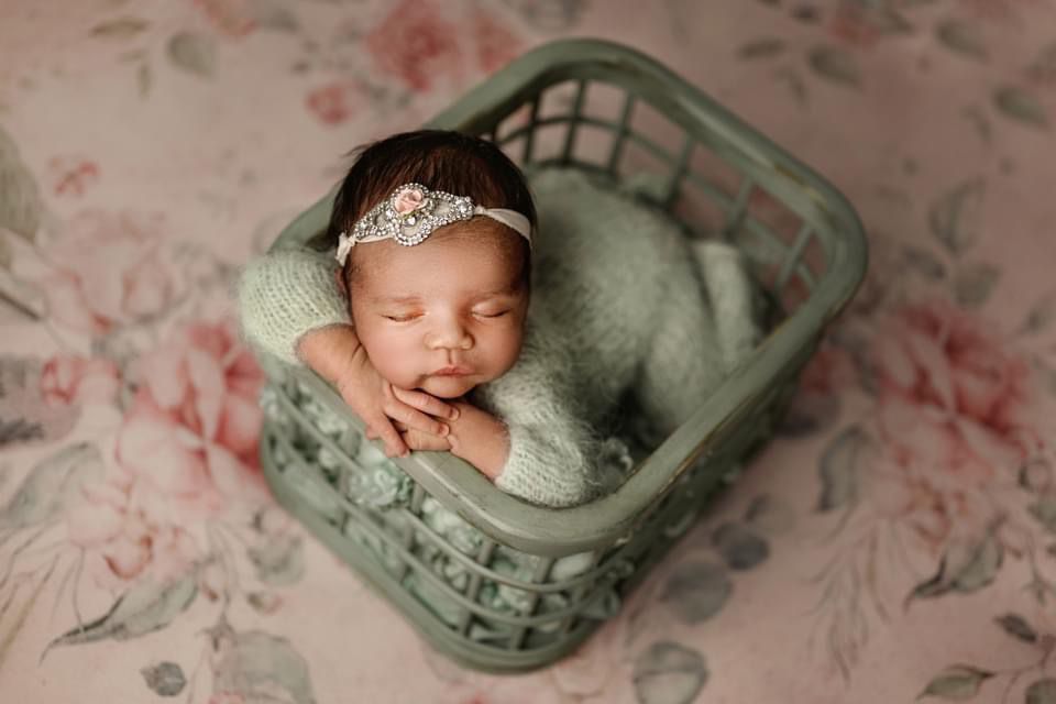 Credit Portraits by Mechelle