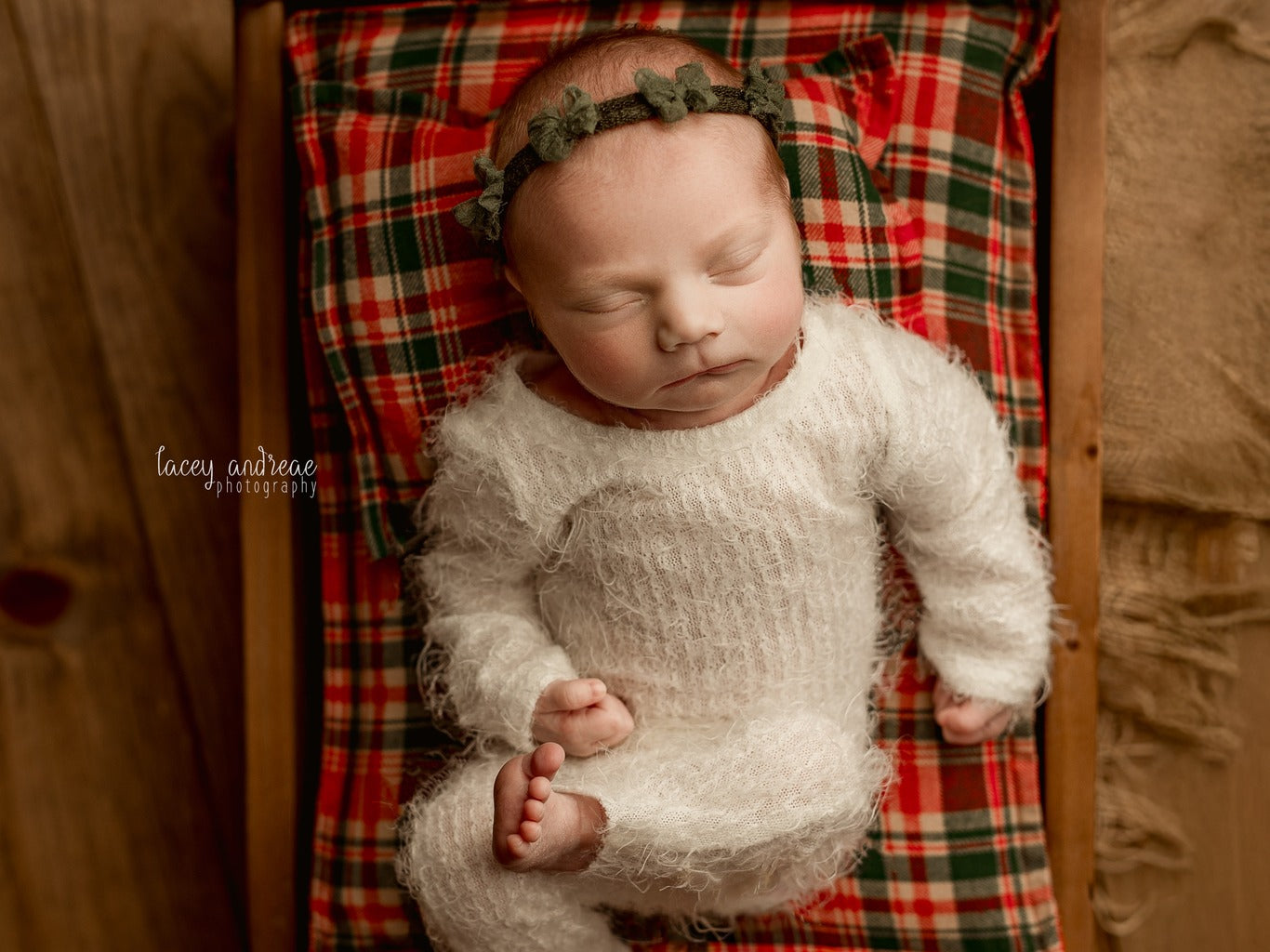 Credit Lacey Andreae Photography