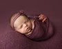 Credit Kimberly Diane Photography