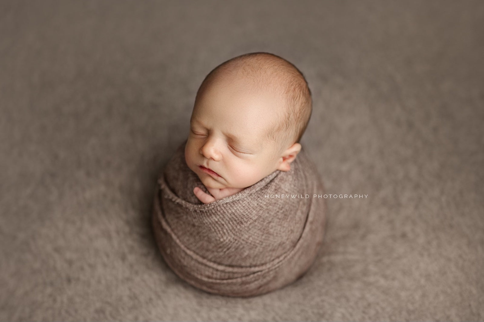 Credit Honeywild Photography