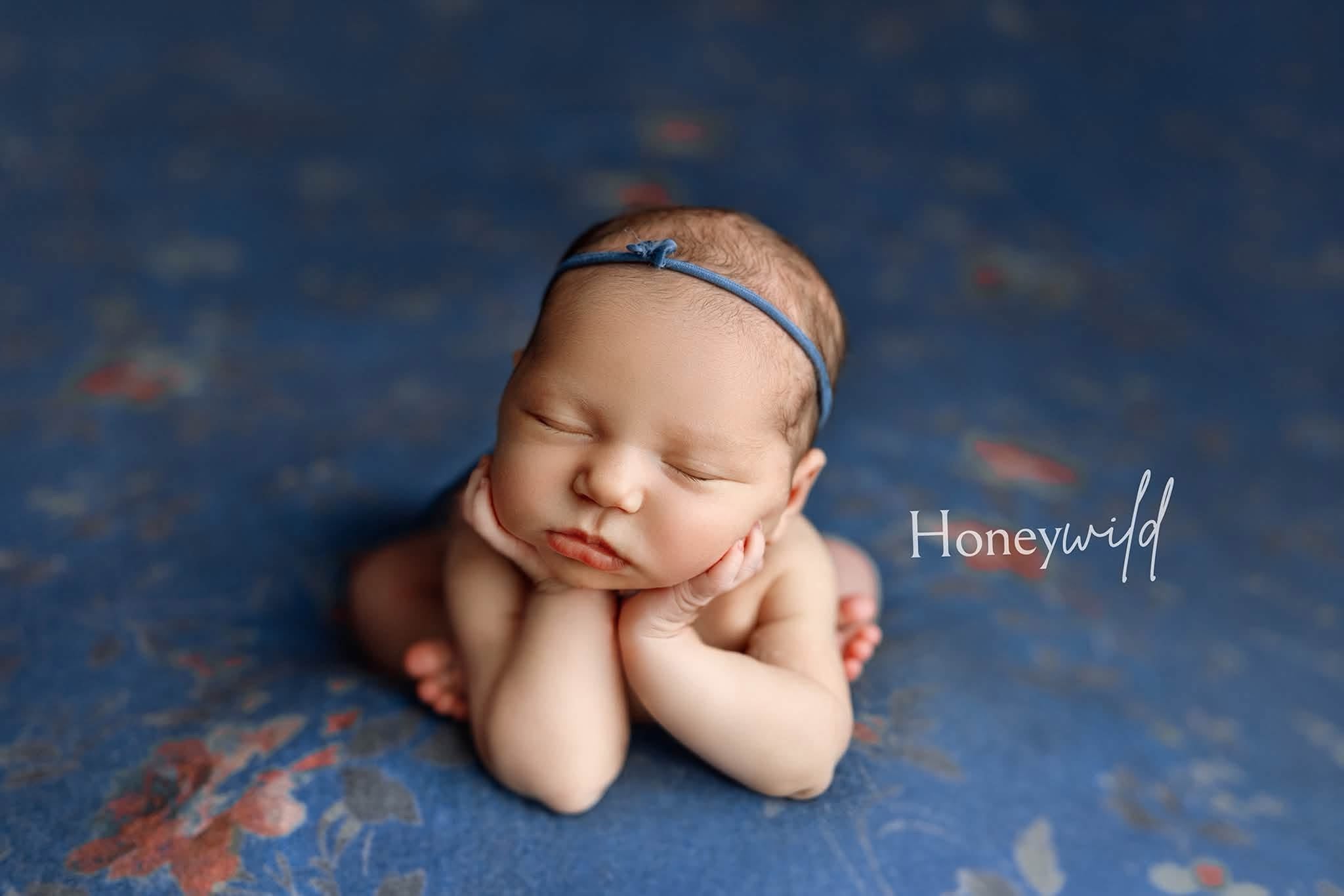 Credit Honeywild Photography