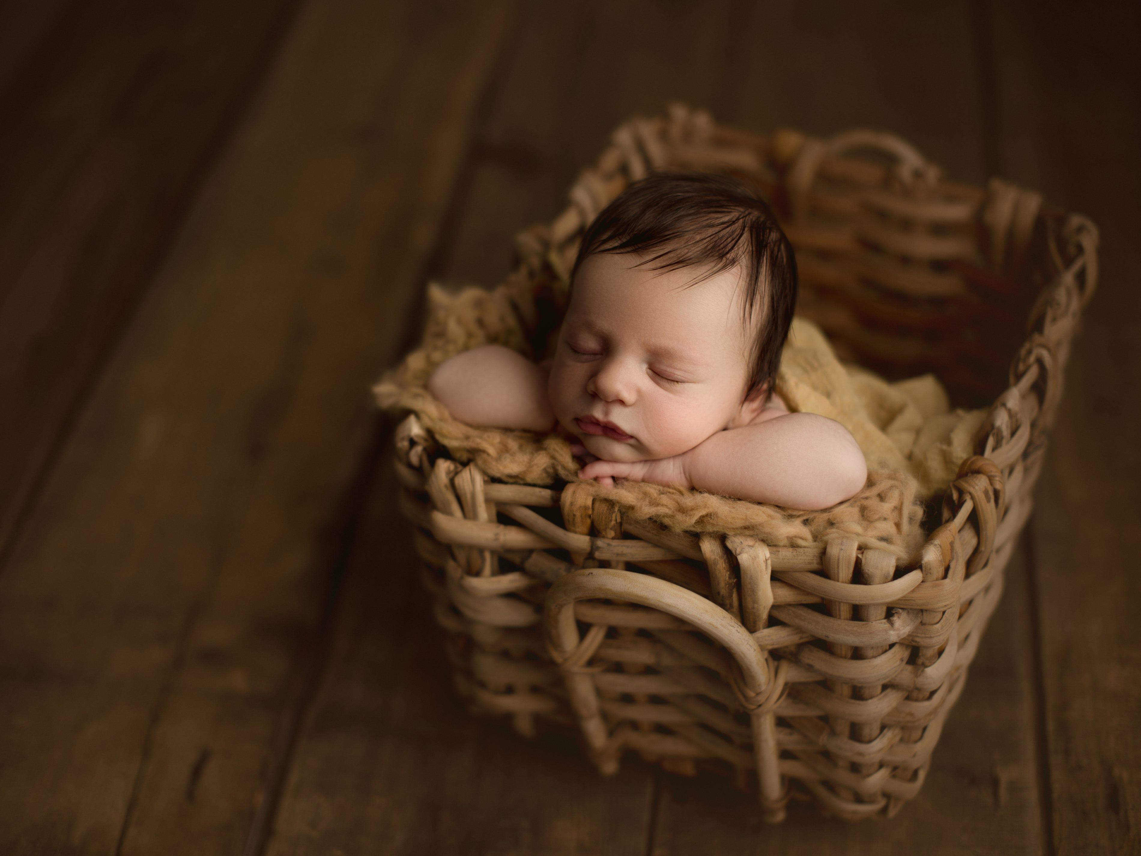 Credit Hello Little Studios