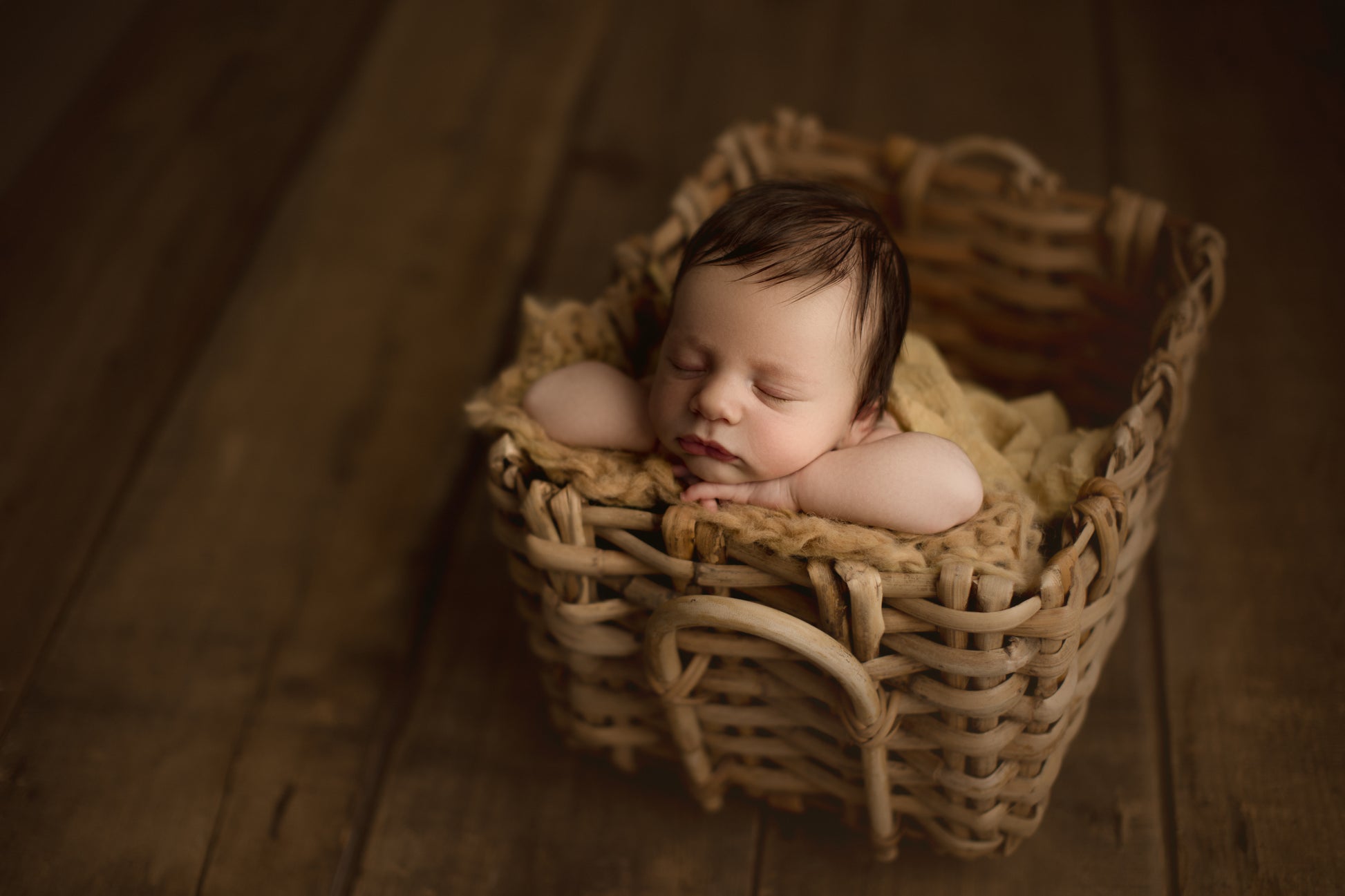Credit Hello Little Studios
