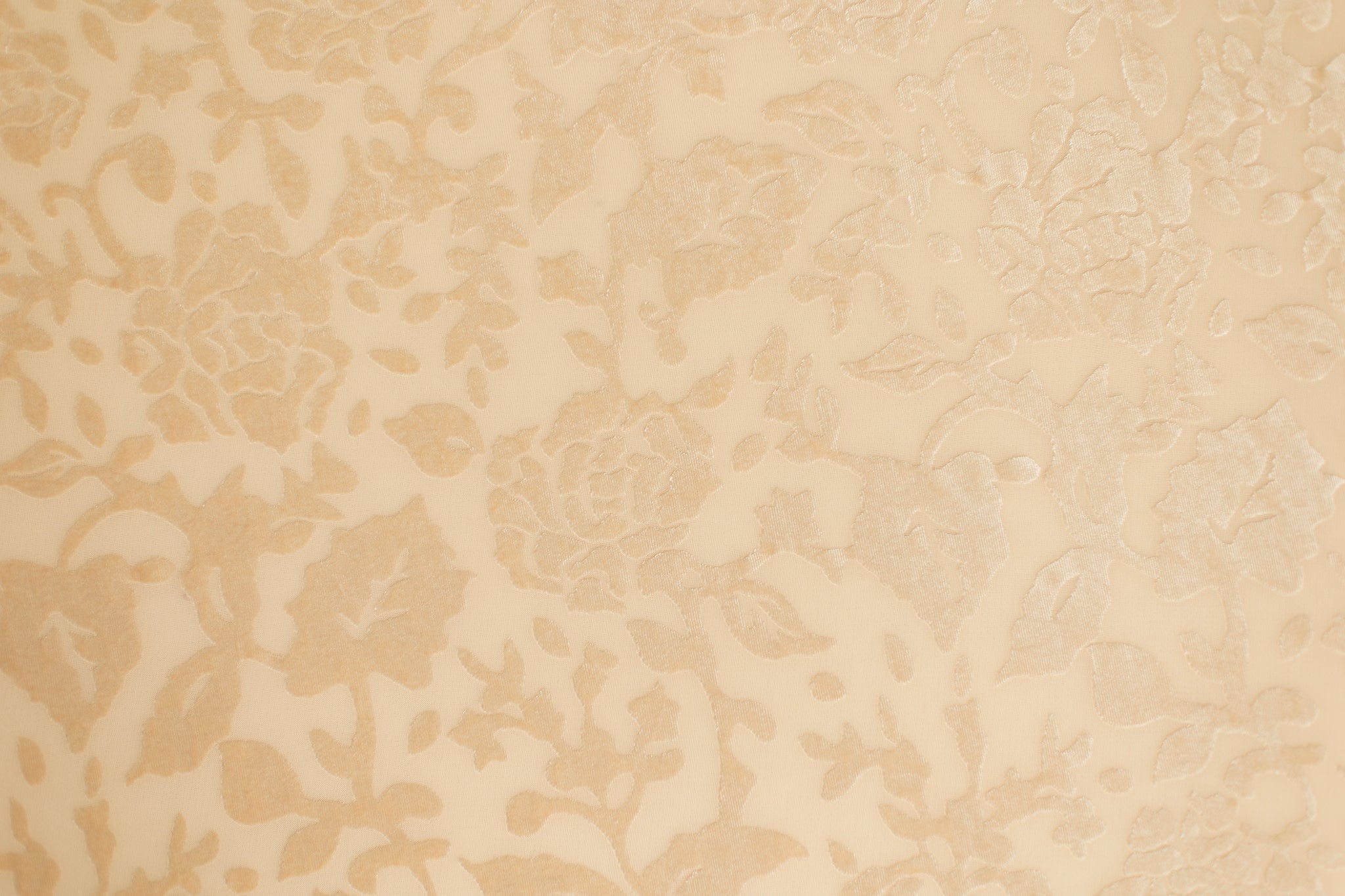 Eloise | Cappuccino Rose