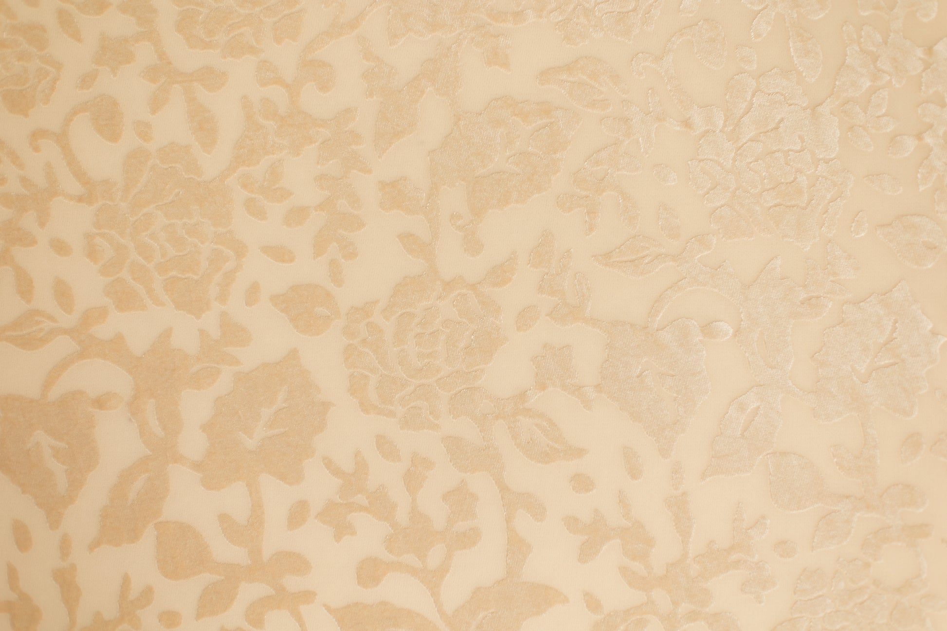 Eloise | Cappuccino Rose